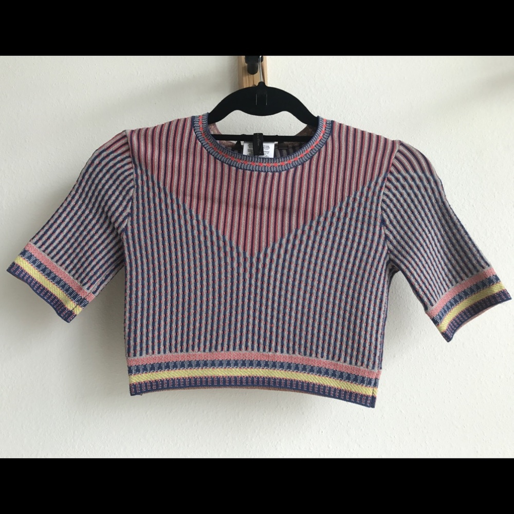 BCBGMaxAzria Fitted Crop Top